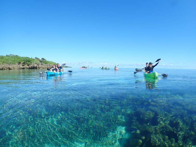 川平湾でカヤックを楽しむツアー客