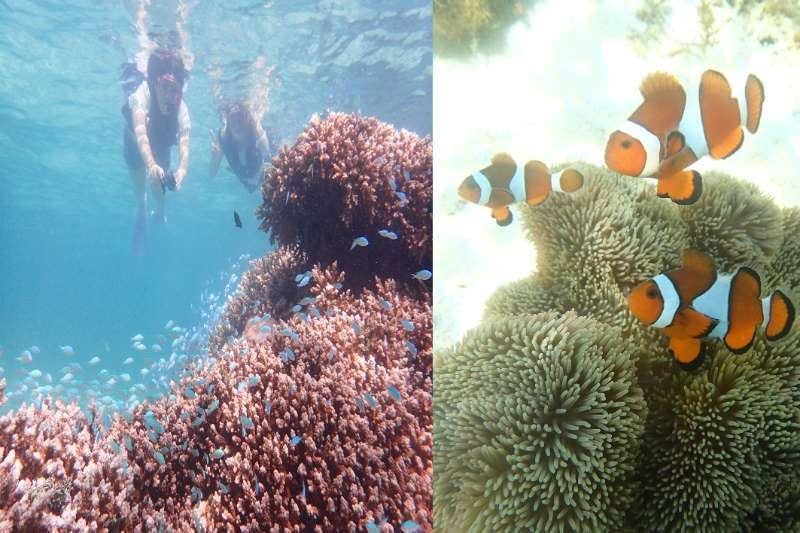 川平湾でカヤックを楽しむツアー客とニモ