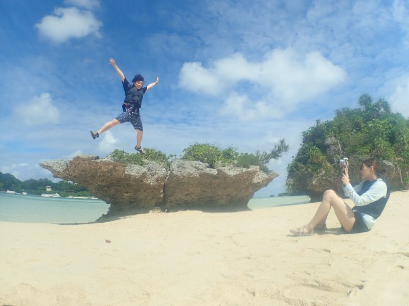 石垣島のサンゴの群生