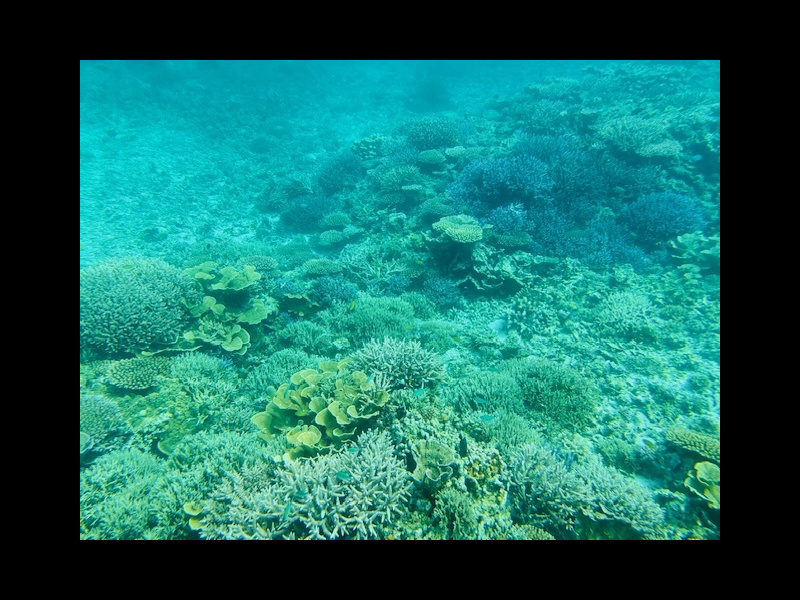 川平湾の無人島のビーチで休憩しているツアー客