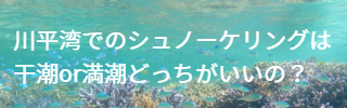 川平湾の無人島