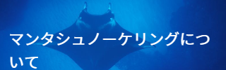 川平湾の無人島