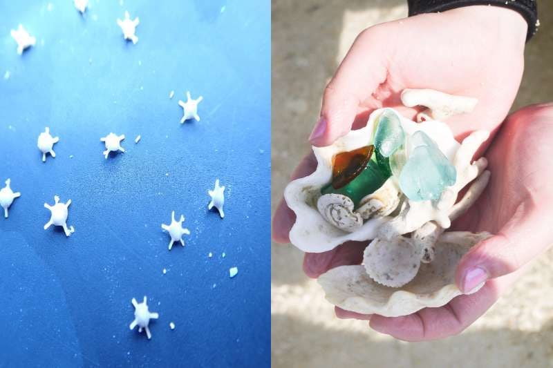 星砂とキレイな貝殻