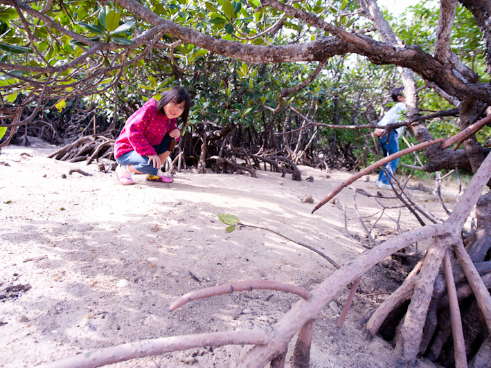 石垣島にあるキレイなビーチ