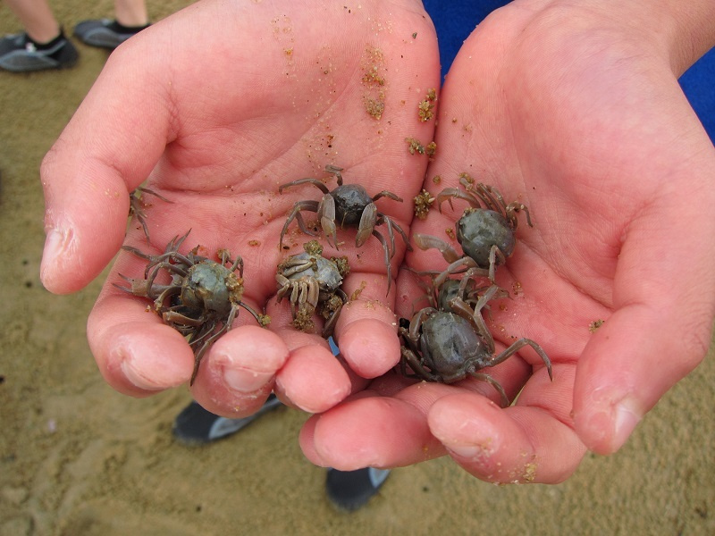 石垣島にあるキレイなビーチ