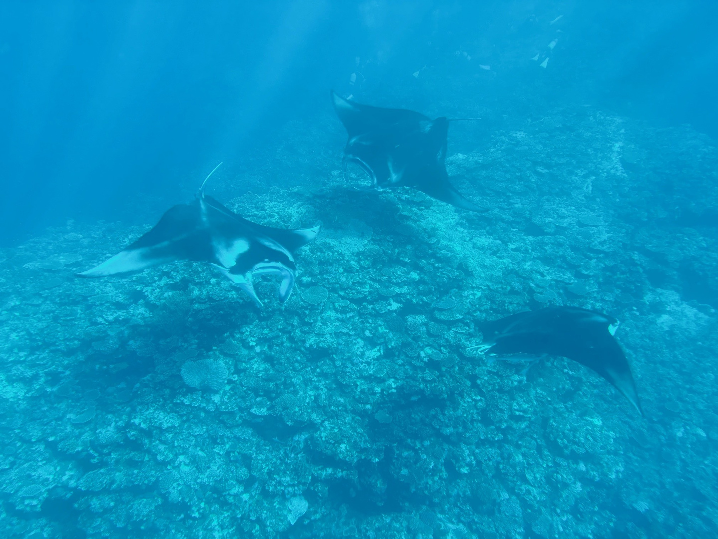 石垣島にあるキレイなビーチ