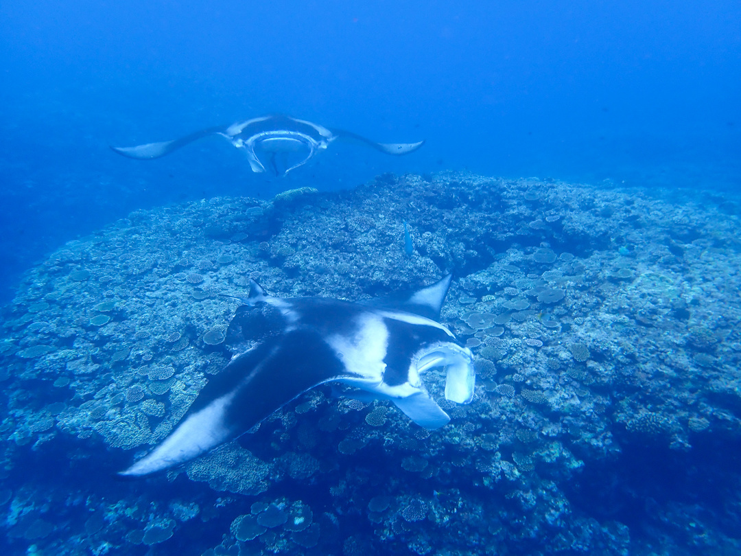 石垣島にあるキレイなビーチ