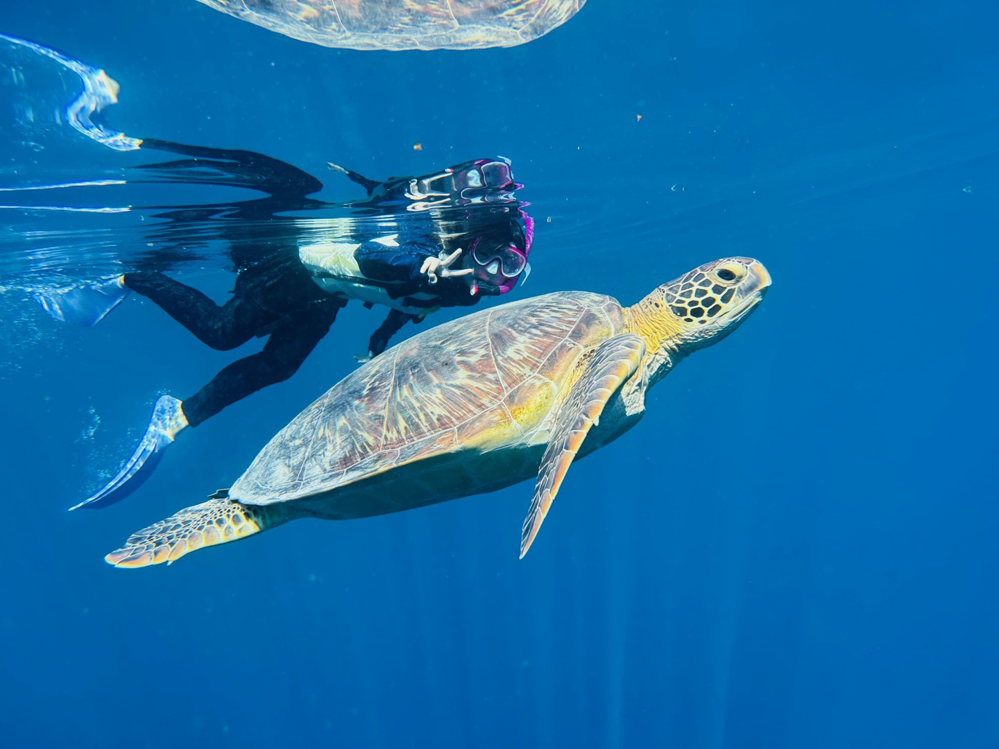 石垣島にあるキレイなビーチ