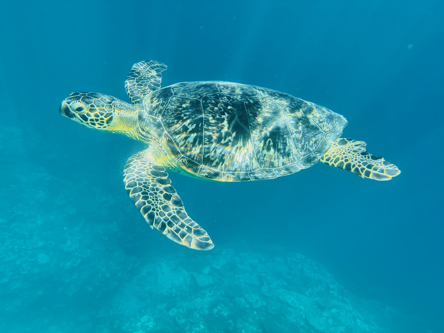 石垣島にあるキレイなビーチ