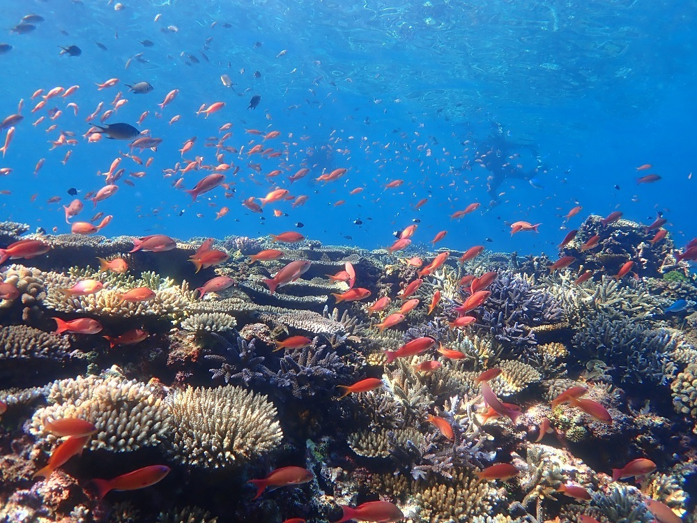 石垣島にあるキレイなビーチ