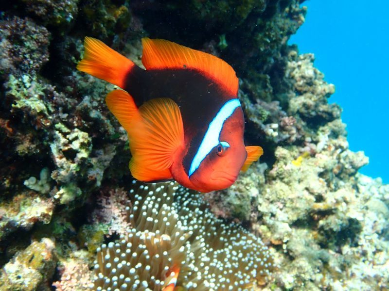 石垣島にあるキレイなビーチ