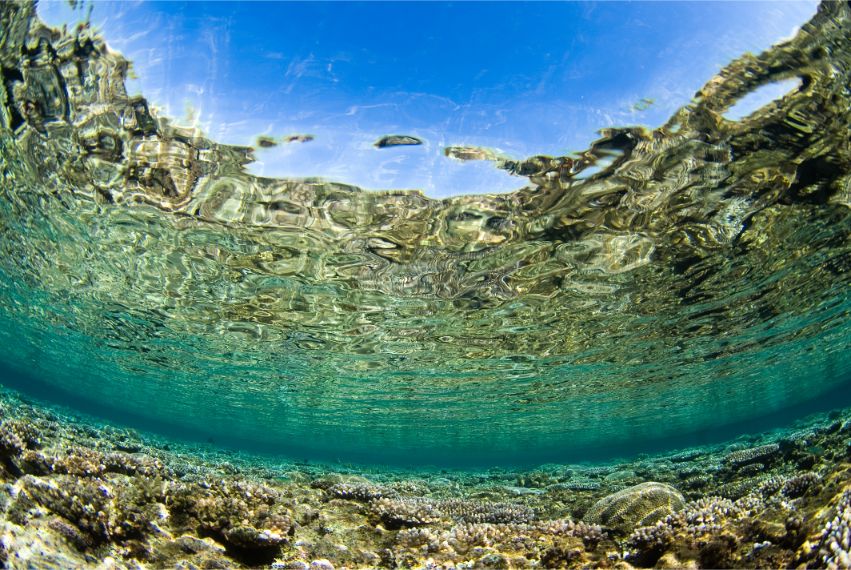 石垣島米原の珊瑚礁