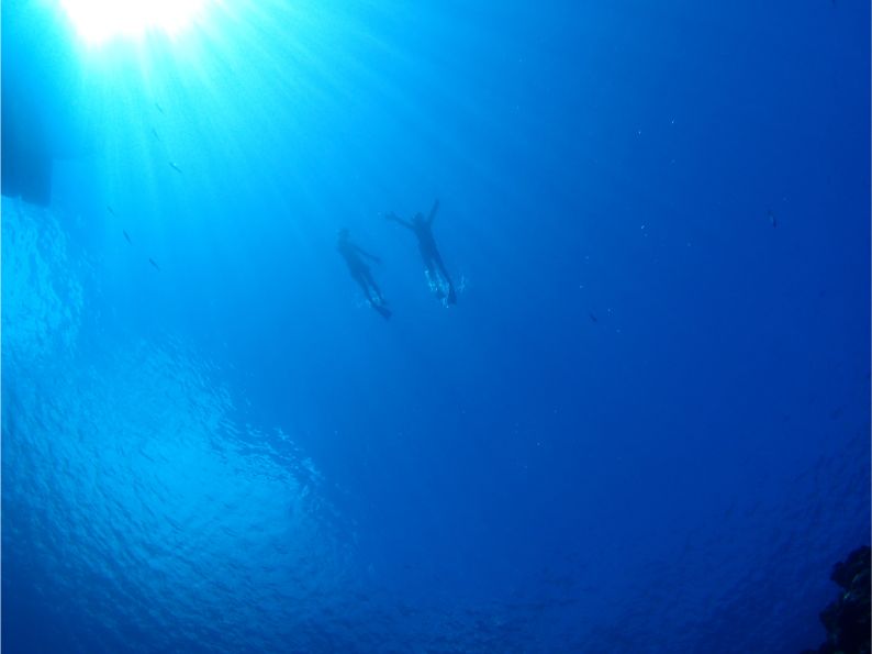 石垣島の海でシュノーケルを楽しむ観光客